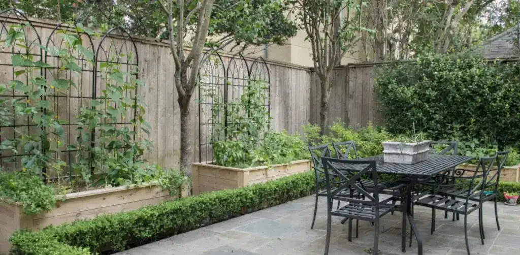 Yaşayış həyətində kompleks bağ işləri - Sonra