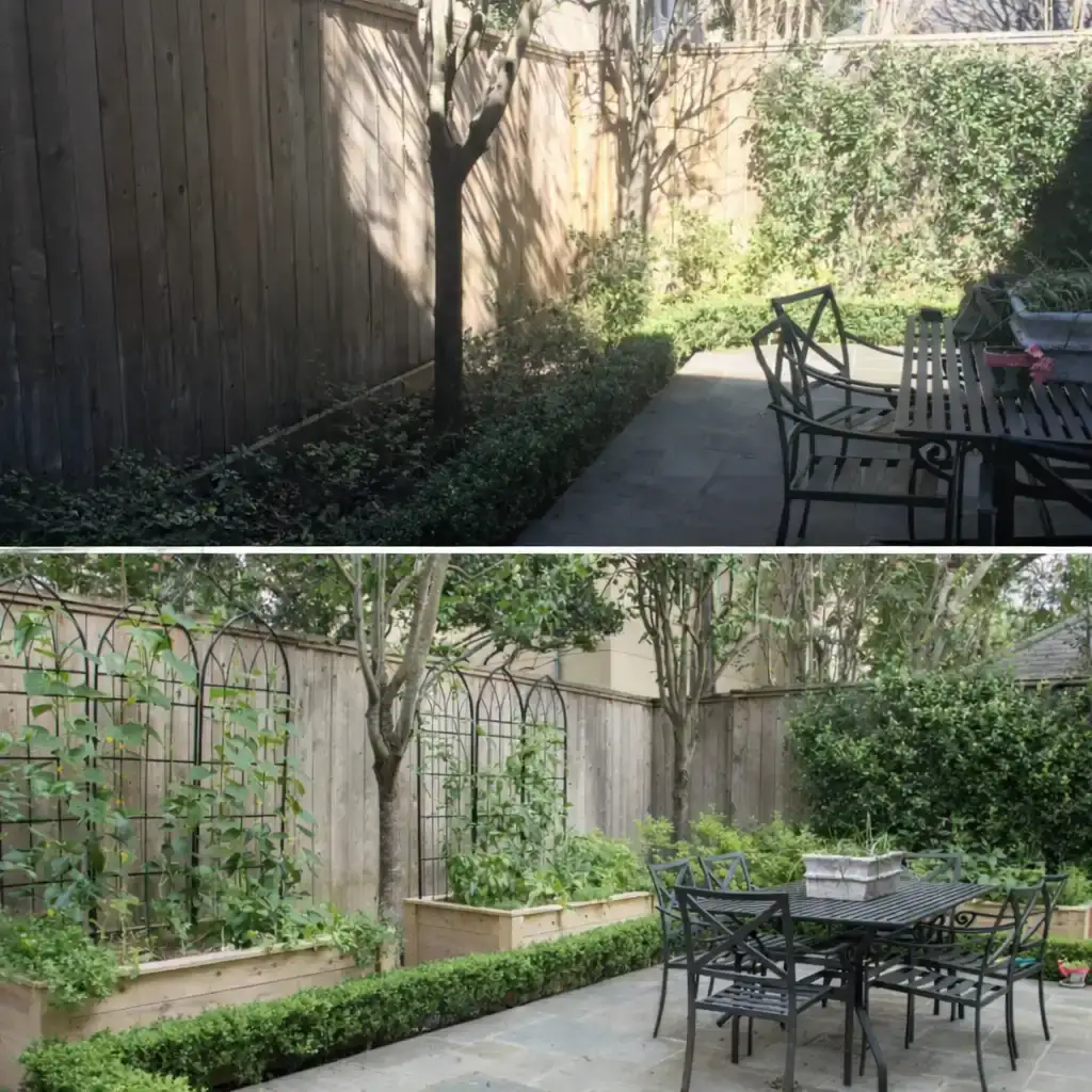 Həyət sahəsində bağbanlıq və sanitariya işləri