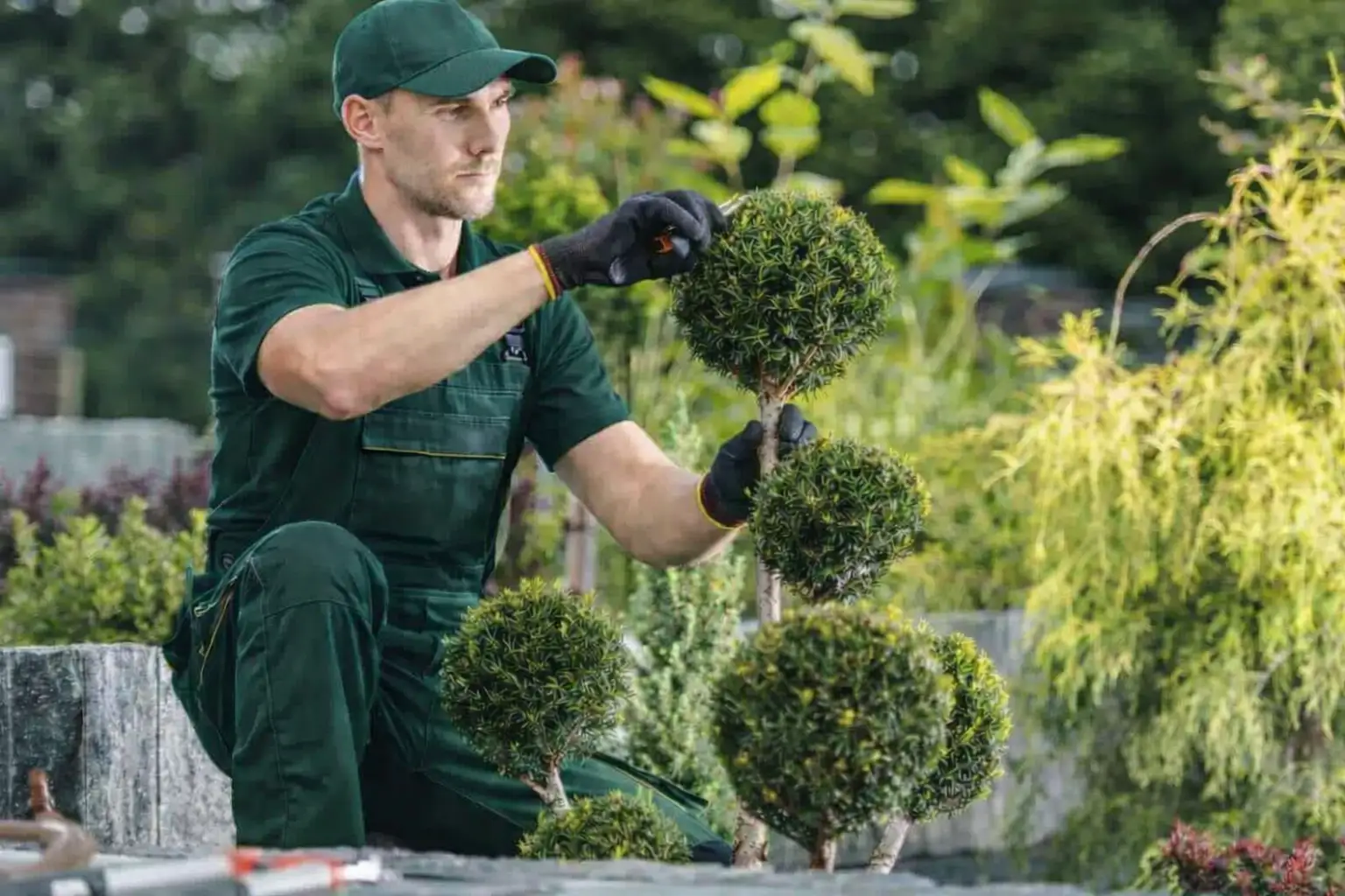 166 Bağban və Sanitariya Xidməti