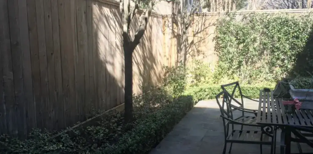 Həyət sahəsində bağbanlıq və sanitariya işləri